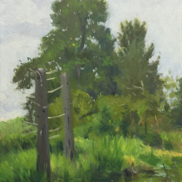Juanita Beach Trees, oil on canvas, 24 x 18 inches, copyright ©2015