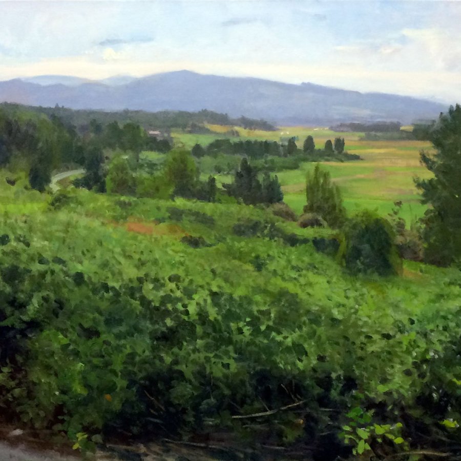 Snohomish Valley, Looking East, oil on canvas, 36 x 47 inches, work in progress copyright ©2015