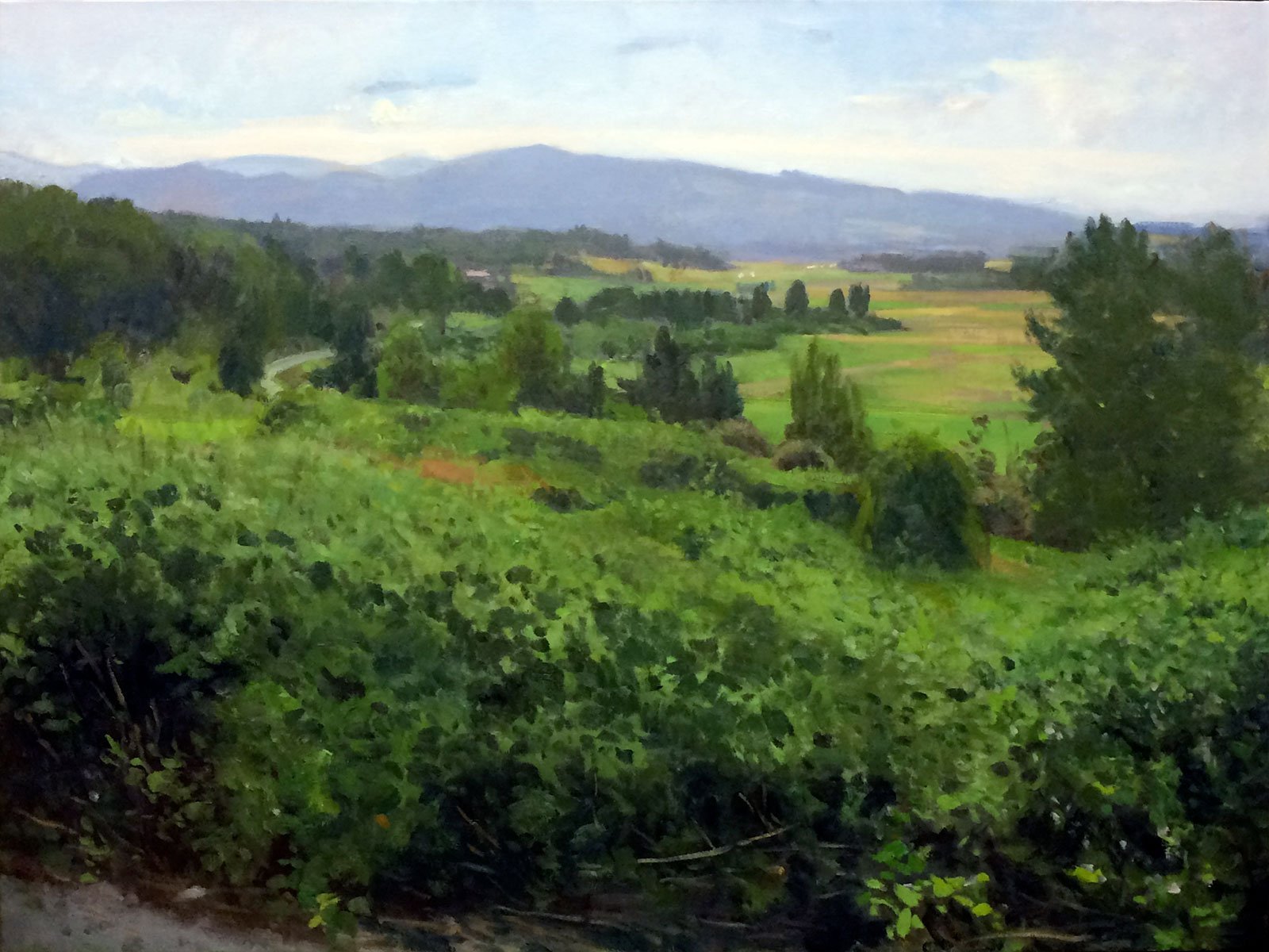 Snohomish Valley, Looking East, oil on canvas, 36 x 47 inches, work in progress copyright ©2015