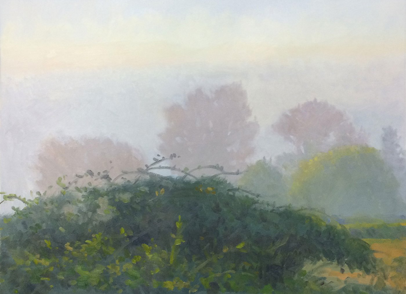 Morning Fog 2: Snohomish Valley, oil on prepared paper, 22 X 30 inches, copyright ©2015, $3,800