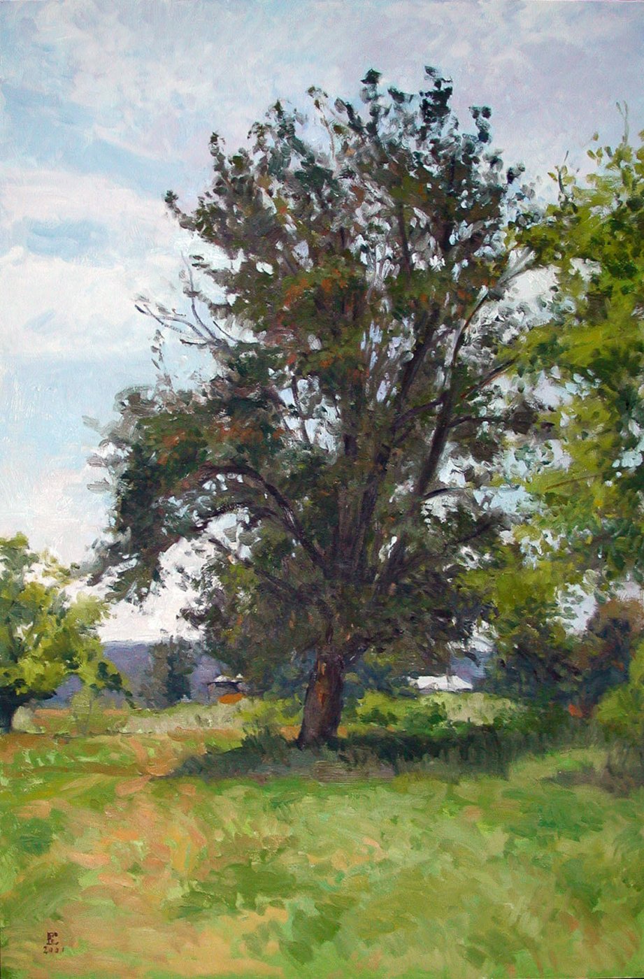 Tree, oil on panel, 36 X 24 inches, copyright ©2001, $3,800