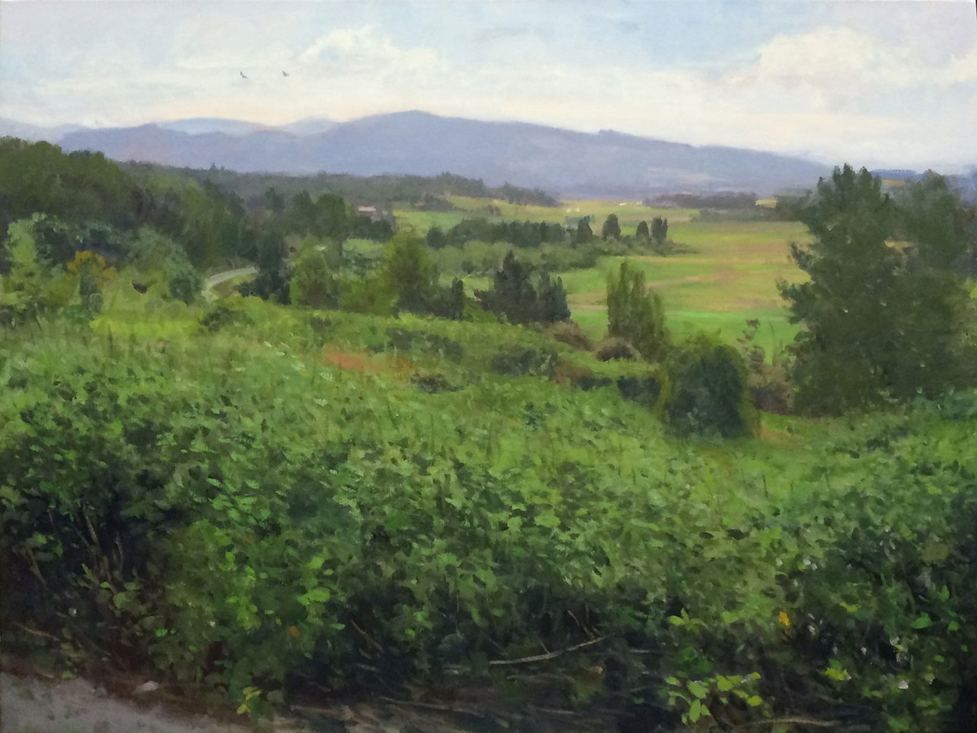 Snohomish Valley, Looking East, oil on canvas, 36 x 47 inches, copyright ©2015